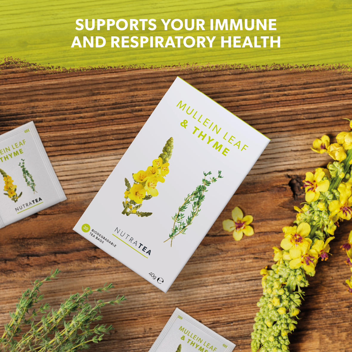 Mullein Leaf & Thyme Herbal Tea